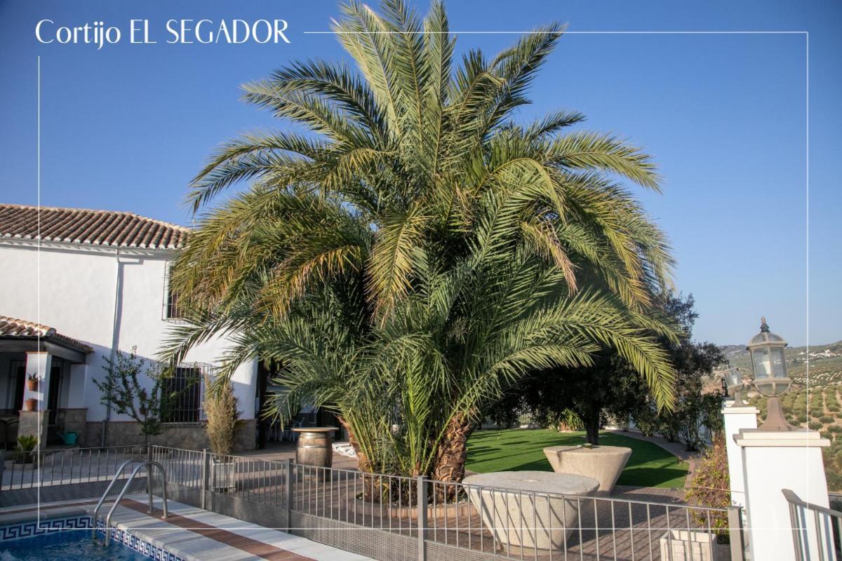 Cortijo El Segador Y El Capricho Villa Almedinilla Buitenkant foto